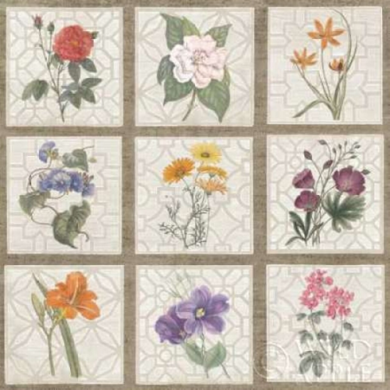 Pink Whimsical Floral I Poster Print by Robin Maria - Item # VARPDX13559